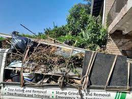 Best Property Management Cleanouts  in Newberry, SC
