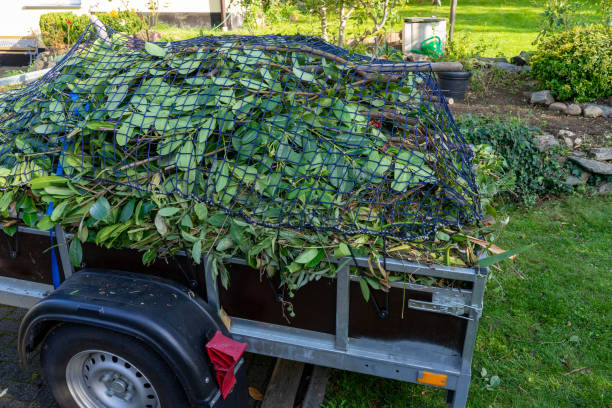 Trusted Newberry, SC Junk Removal Services Experts